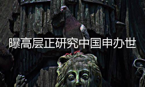 曝高层正研究中国申办世界杯 或2030年开始