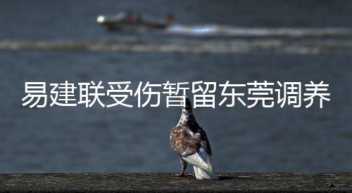 易建联受伤暂留东莞调养 与北控比赛被推到腰部致拉伤