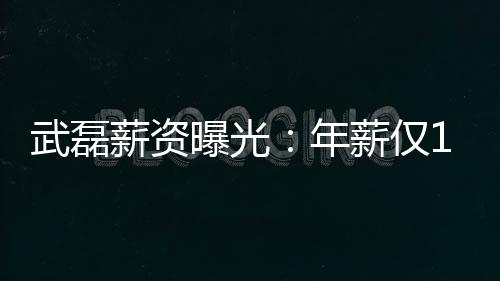 武磊薪资曝光:年薪仅100万欧比之前缩减一半