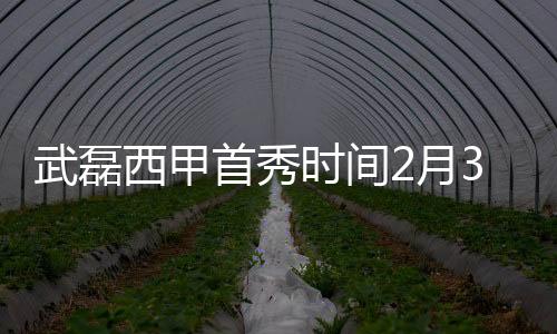 武磊西甲首秀时间2月3日 或赛季末结束再选择手术