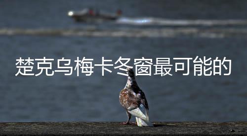 楚克乌梅卡冬窗最可能的下家是米兰和水晶宫