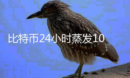 比特币24小时蒸发1000亿美元   多因素利空“袭击”比特币