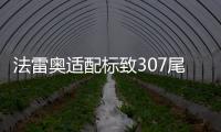 法雷奥适配标致307尾灯总成 小嘴三厢尾灯罩汽车后尾灯 正品配件