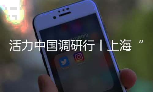 活力中国调研行丨上海“引进来”“走出去”双向发力  不断扩大高水平对外开放