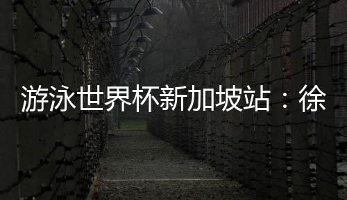 游泳世界杯新加坡站：徐嘉余汪顺李朱濠再夺三金