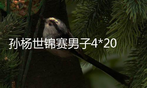 孙杨世锦赛男子4*200米自由泳接力决赛时间比赛直播地址视频入口