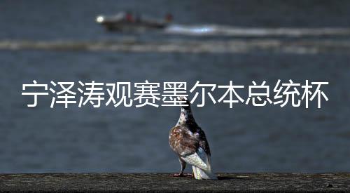 宁泽涛观赛墨尔本总统杯引轰动 对高尔夫运动感兴趣