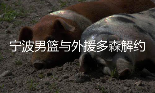 宁波男篮与外援多森解约 新外援人选已经确定