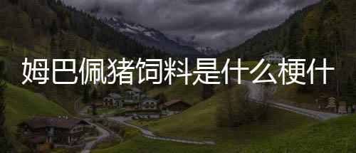 姆巴佩猪饲料是什么梗什么意思 怎么火起来的