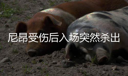 尼昂受伤后入场突然杀出破门 规则允许无争议