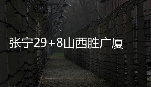 张宁29+8山西胜广厦总分1