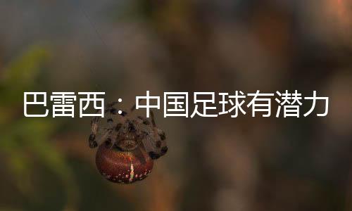 巴雷西：中国足球有潜力 但不应照搬欧洲足球文化