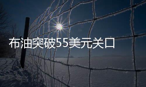 布油突破55美元关口   报55.07美元/桶