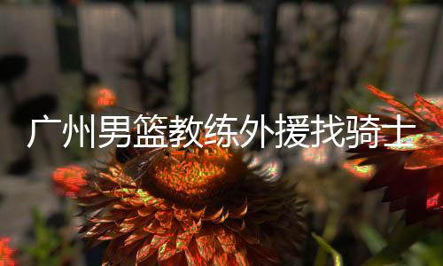 广州男篮教练外援找骑士队主帅当顾问 他指导过字母哥