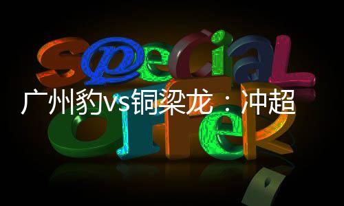 广州豹vs铜梁龙：冲超6分战？只是一场普通的联赛