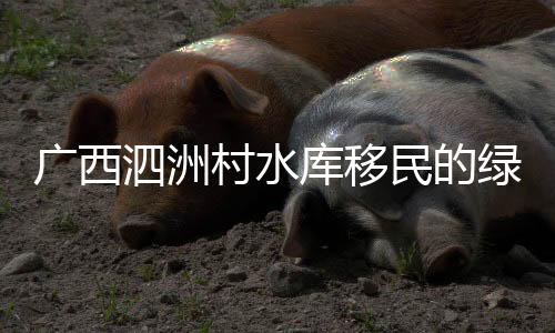 广西泗洲村水库移民的绿色致富路 从“靠水吃水”到“文旅兴村”