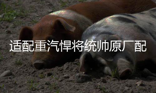 适配重汽悍将统帅原厂配件豪沃轻卡油门踏板HOWO轻卡电子油门踏板