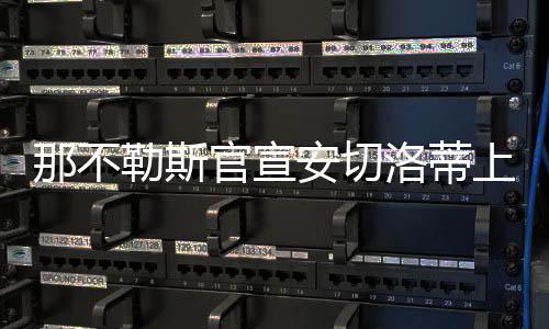 那不勒斯官宣安切洛蒂上任 3年合约年薪650万欧元