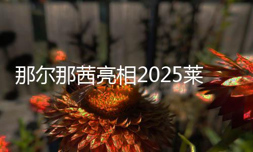 那尔那茜亮相2025莱美盛典阿迪达斯清风专场，领衔百人同练引爆全场