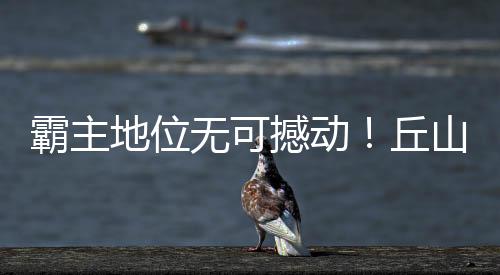 霸主地位无可撼动！丘山队再夺武汉站冠军