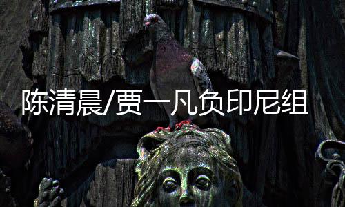 陈清晨/贾一凡负印尼组合无缘四强 国羽女双全军覆没