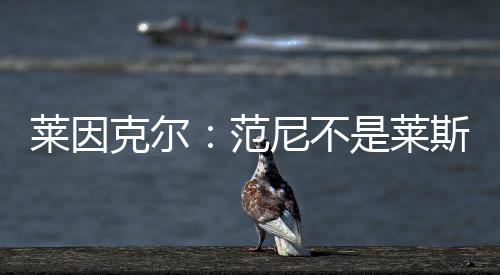 莱因克尔:范尼不是莱斯特城首选