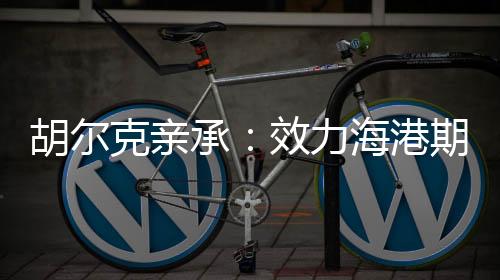 胡尔克亲承：效力海港期间收入超过梅西C罗