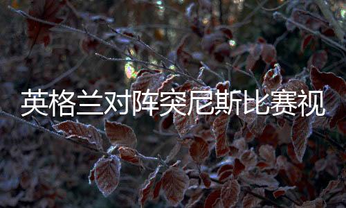 英格兰对阵突尼斯比赛视频直播地址 首发阵容预测