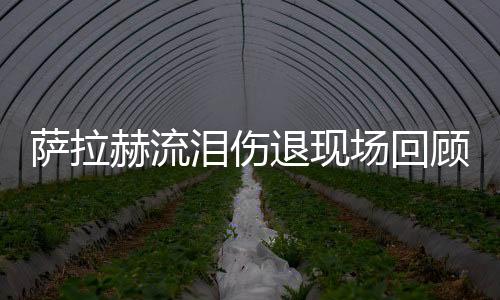 萨拉赫流泪伤退现场回顾 欧冠杯皇马三连冠决赛对战利物浦