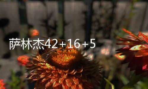 萨林杰42+16+5 贺希宁27+5 摩尔35分 深圳逆转广州