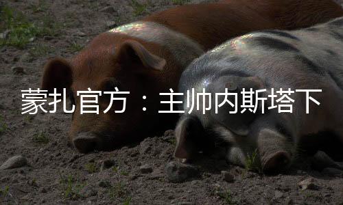 蒙扎官方：主帅内斯塔下课