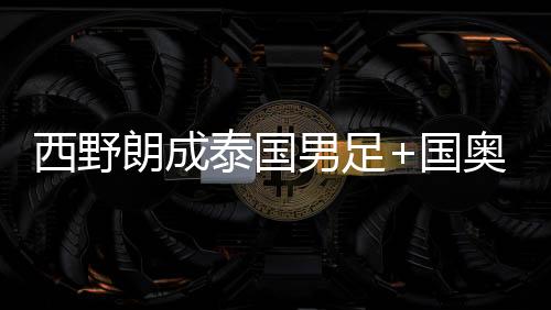 西野朗成泰国男足+国奥双重主帅 个人履历成绩介绍