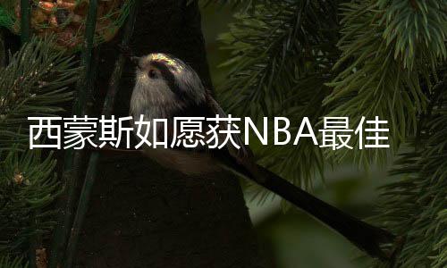 西蒙斯如愿获NBA最佳新秀 “假新秀”身份遭质疑