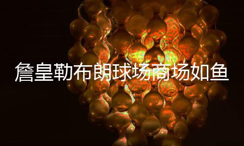 詹皇勒布朗球场商场如鱼得水 自夸眼光独到很会赚