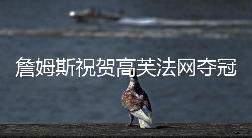 詹姆斯祝贺高芙法网夺冠：祝贺我的奥运旗手同胞