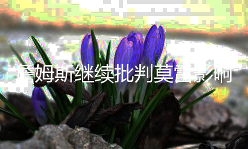 詹姆斯继续批判莫雷影响nba 湖人篮网球队被他害惨