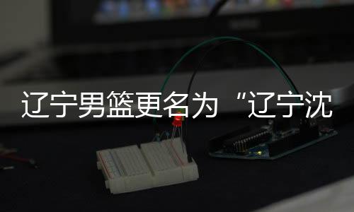 辽宁男篮更名为“辽宁沈阳三生飞豹” 简称辽宁本钢队