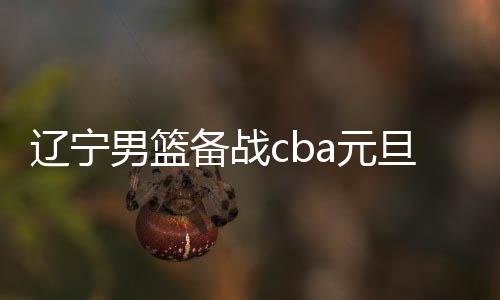 辽宁男篮备战cba元旦大战 韩德君郭艾伦伤势恢复好