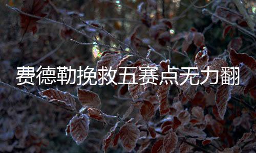 费德勒挽救五赛点无力翻盘 负小兹维无缘四强