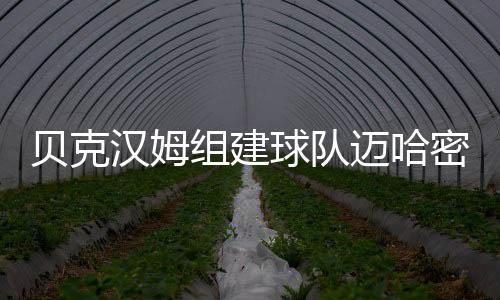 贝克汉姆组建球队迈哈密新球场蓝图曝光：造价7.5亿镑