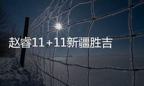 赵睿11+11新疆胜吉林 王哲林20分上海胜肯帝亚
