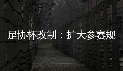 足协杯改制：扩大参赛规模 每轮对阵实行无序抽签