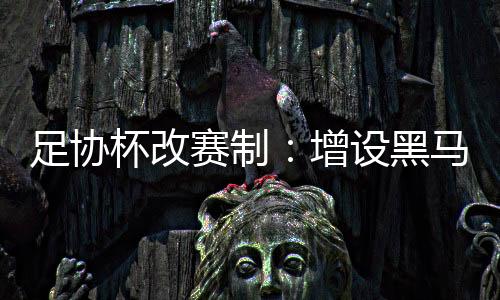 足协杯改赛制：增设黑马金银铜奖 抽签改革增不确定性