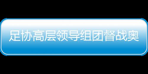 足协高层领导组团督战奥预赛 国足新帅希丁克临危受命