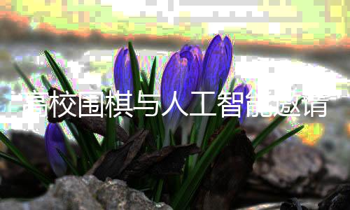 高校围棋与人工智能邀请赛将战 柯洁代表清华出席