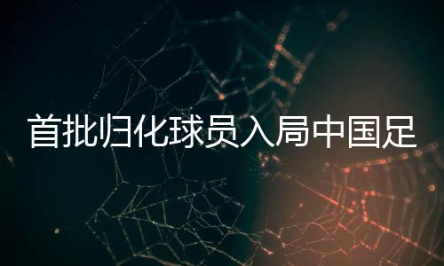 首批归化球员入局中国足球 附2019中超冬窗期重要交易