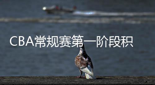 CBA常规赛第一阶段积分榜：辽宁9战全胜领跑