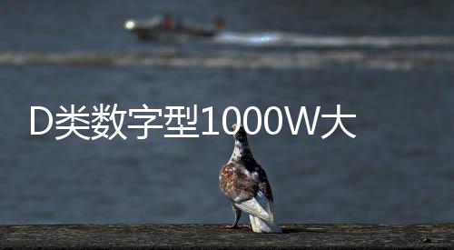 D类数字型1000W大功率发烧级超重纯低音无源双音圈低音炮功放