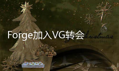 Forge加入VG转会什么情况 VG战队成员目前都有谁