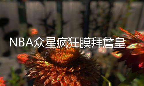 NBA众星疯狂膜拜詹皇 科比：勒布朗振金